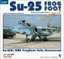 Publication Su-25 Frogfoot in detail