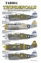 1/48 Republic P-47D Thunderbolt Razorback PTO Part 4