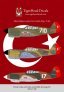1/48 Scale Allied Fighters under the Turkish Flag Curtiss P-40.