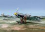1/48 Bf-109E-1 & Bf-109E-3 Emil Legion Condor double kit