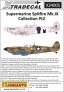 1/24 Supermarine Spitfire Mk.IX Collection Part 2